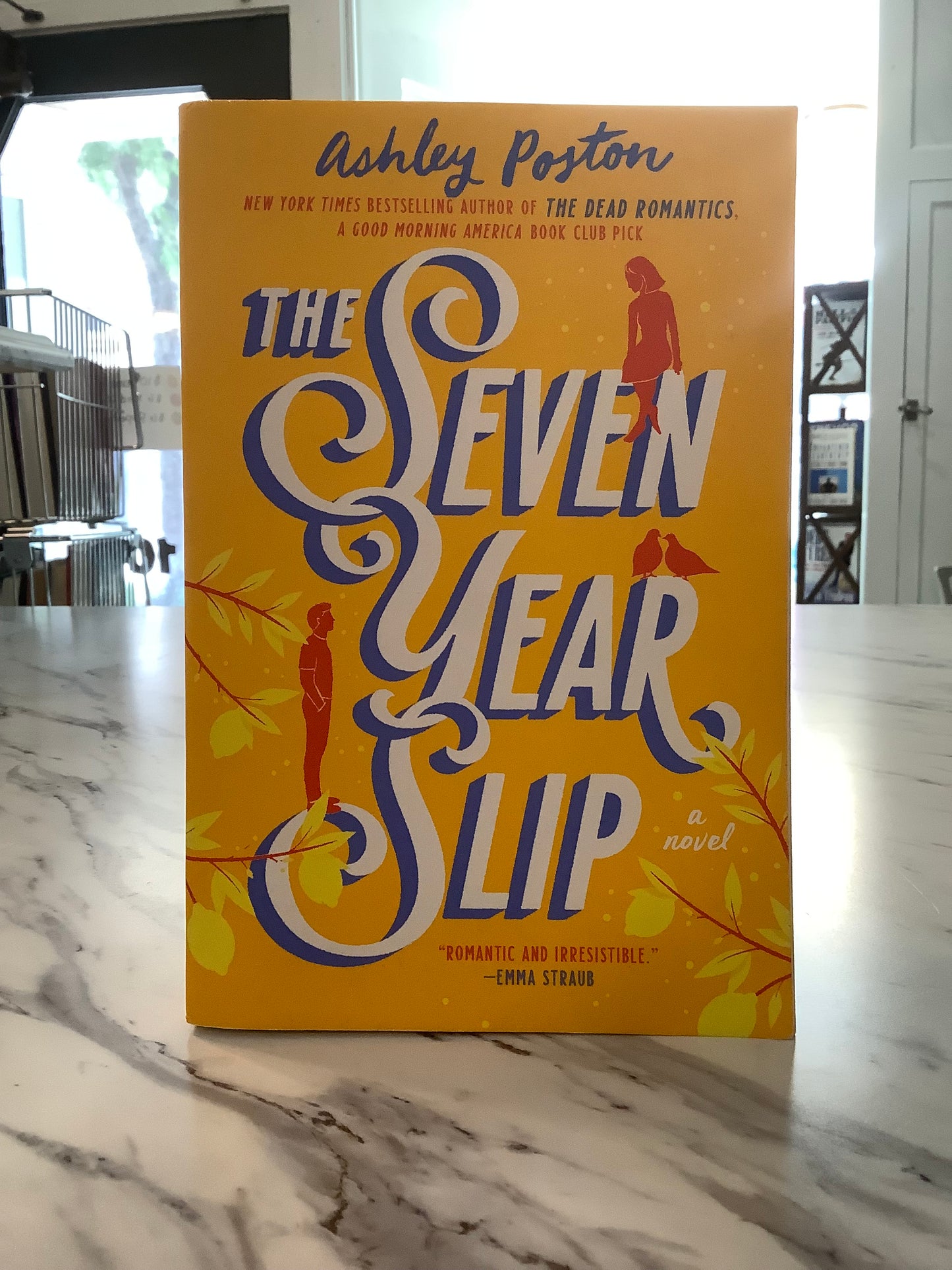 The Seven Year Slip by Ashley Poston